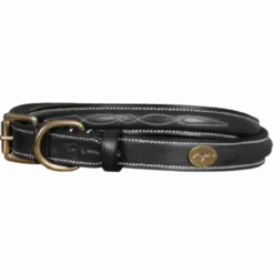 Hundehalsband Fancy DLA, Lederhalsband