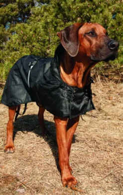 Hundemantel, Allwetterdecke, Ungefüttert, Hundejacke