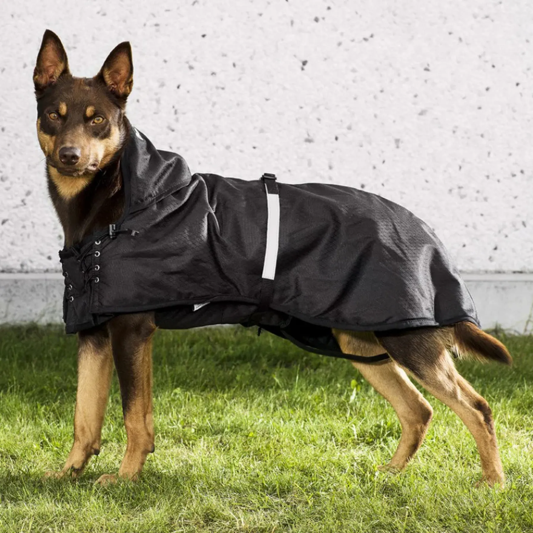 Hundemantel Allwetterdecke Gefüttert, Hundejacke