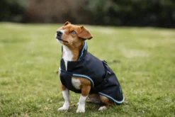 Hundemantel Anniversary, 0 g, Hundedecke, Hundejacke