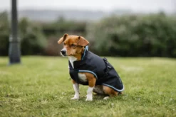 Hundemantel Anniversary, 0 g, Hundedecke, Hundejacke