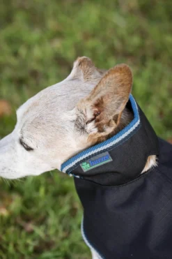 Hundemantel Anniversary, 0 g, Hundedecke, Hundejacke