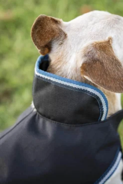 Hundemantel Anniversary, 0 g, Hundedecke, Hundejacke