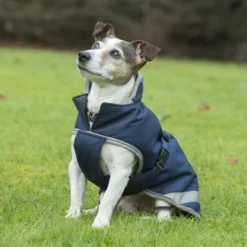 Hundemantel Freedom, 300 g, Hundejacke