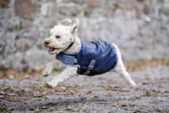 Hundemantel Ionic Therapy Dog Coat FS26, 50 g, Hundedecke