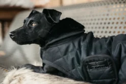 Hundemantel Original Limited Edition, Hundejacke, Hundedecke, 160 g