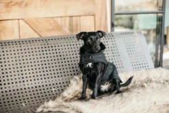 Hundemantel Original Limited Edition, Hundejacke, Hundedecke, 160 g