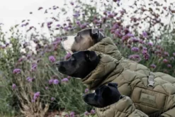 Hundemantel Pina, Wintermantel