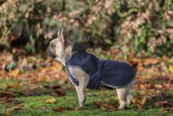 Hundemantel Show Line, Hundedecke, Fleecedecke