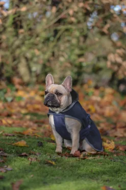 Hundemantel Show Line, Hundedecke, Fleecedecke