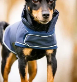 Hundemantel Signature FS26, 0 g, Hunde Regenmantel