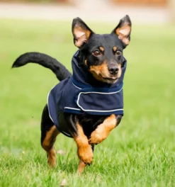 Hundemantel Signature FS26, 0 g, Hunde Regenmantel