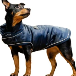 Hundemantel Signature Medium FS26, 200 g