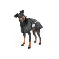 Hundemantel Standard, Hundejacke
