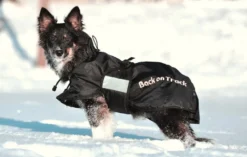 Hundemantel Standard, Hundejacke