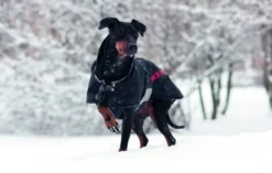 Hundemantel Standard, Hundejacke