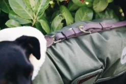 Hundemantel Waterproof, 300 g, Regenjacke, Hundejacke