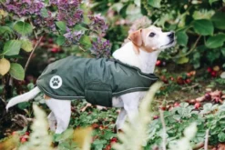 Hundemantel Waterproof, 300 g, Regenjacke, Hundejacke