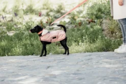 Hundemantel Waterproof, 160 g, Regenjacke, Hundejacke
