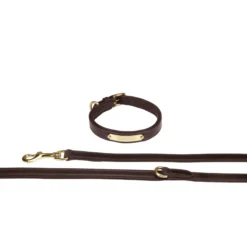 Hundeset Leather, Leine + Halsband