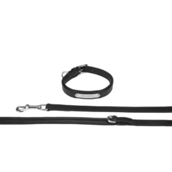 Hundeset Leather, Leine + Halsband
