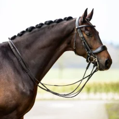 Kandare FayPerform, schwedisches Reithalfter, ohne Zügel, anatomisch