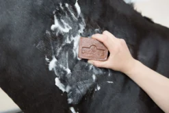 Kevin Bacon’s Anti-Juckreiz Active Soap