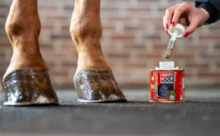 Kevin Bacon's Huföl Liquid Hoof Dressing