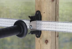 Kombi Isolator Premium, 3 Stück
