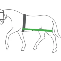 Körper Bandage, elastisch