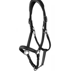 Lederhalfter WC, 2-in-1 Transport- und Stallhalfter