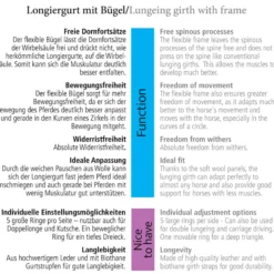 Longiergurt, Bügel-Longiergurt, Leder