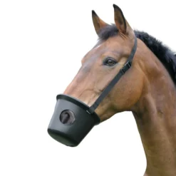 Maulkorb
