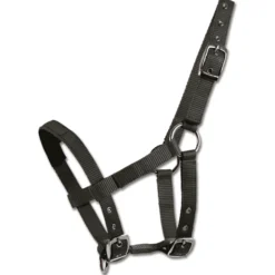 Mini-Shetty Halfter, Nylonhalfter