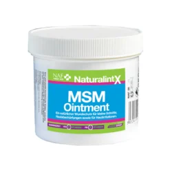MSM Salbe NaturalintX
