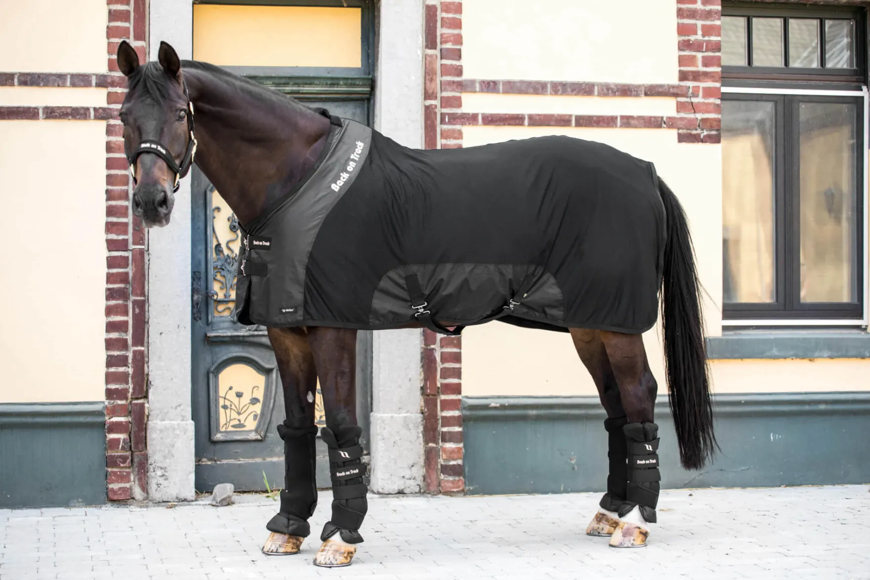 Multifunktionsdecke Royal Deluxe, Netzdecke