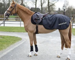 Nierendecke
