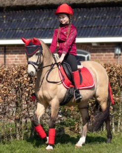 Ohrenhaube Halloween