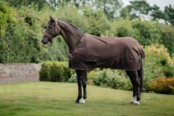 Outdoordecke Irish Turnout, 50 g, mit abnehmbarem Halsteil