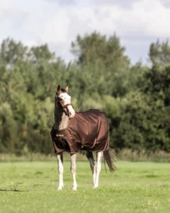 Outdoordecke Irish Turnout, 50 g, mit abnehmbarem Halsteil