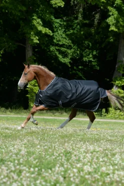 Outdoordecke Trot Turnout, 50 g, Traberdecke