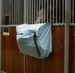 Packsack, Boxentasche