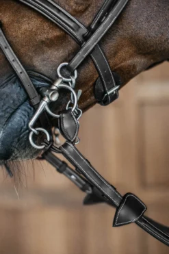 Pelhamriemen, Leder