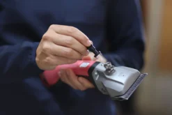 Präzisionsjustierhilfe Torqui, für Schermaschinen Econom