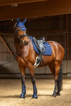 Schabracke FS26, Dressurschabracke