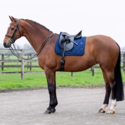 Schabracke HVPDana HW24, Dressurschabracke