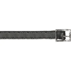 Sporenriemen, Leder
