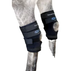Sprunggelenkschoner Ionic Hock Boots FS26, Keramik, 2er Set