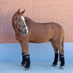Stallbandagen, 4er Set