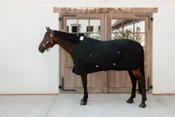 Stalldecke Canvas, 0 g, Transportdecke, Unterdecke